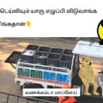 Tamil-Memes-9-2025-05-485e2439a0b707cbbadbe440f3a1156e-3x2-1