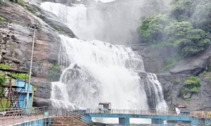 16240813-tenkasi