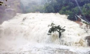 16289874-falls