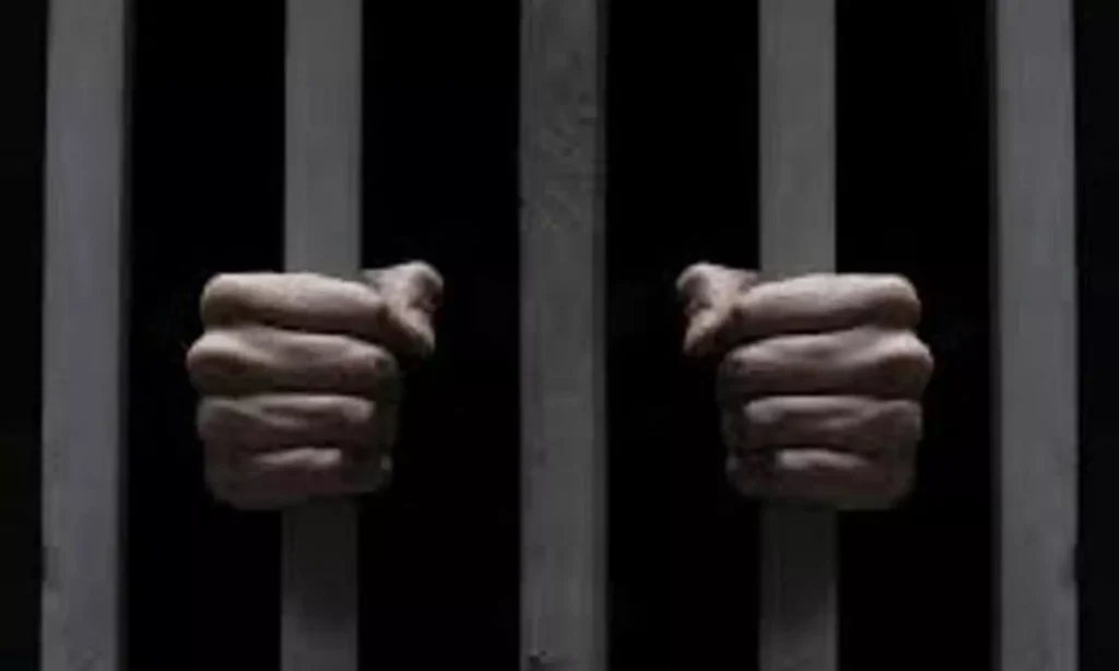 16317813-jail