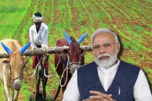 1723777410_1712581404_1712573602_PM-Narendra-Modi-202-1200-900-Wi-kisan-farmers-farmer-2024-02-ad6e0a78c8f276f345c34d059e3f076a-3x2-1