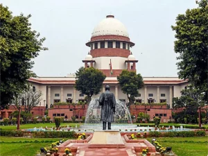 ANI_20241021074349
