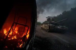 AP24227685616261
