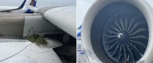 Air-India-flight-crash