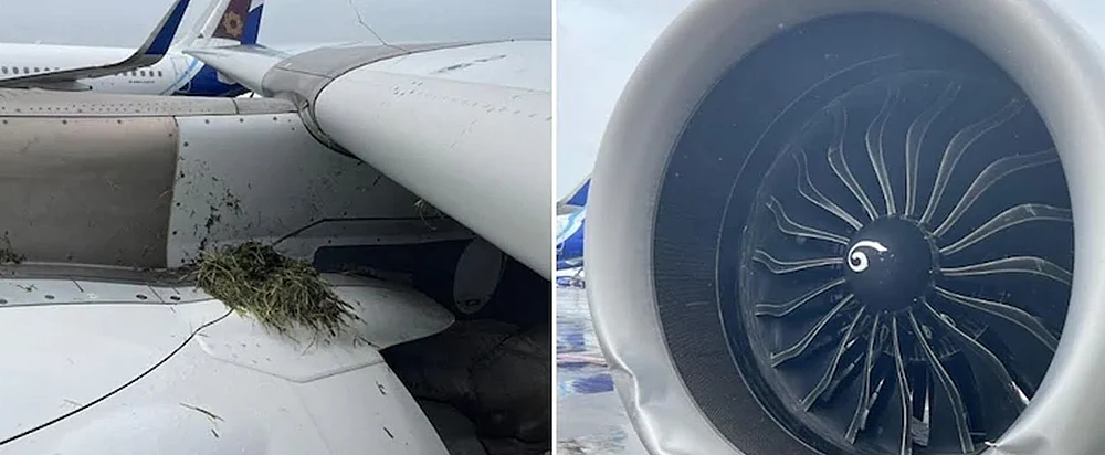 Air-India-flight-crash