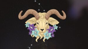 Capricorn_1751949066766_1751949066971