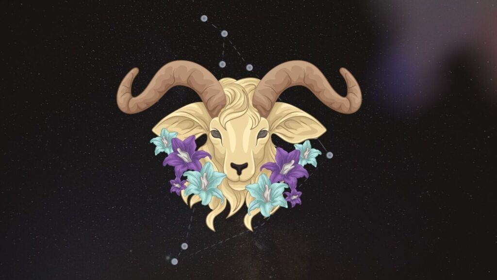 Capricorn_3_1752293603010_1752293618641
