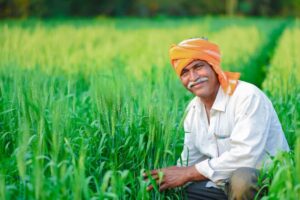 Indian-Farmers-2025-06-d6b01eec691f9812e3378cdf368da490-3x2-1