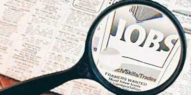 Job-search-edi