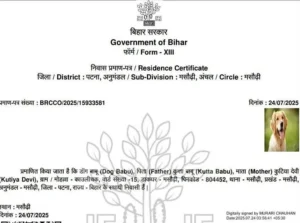 bihardog1