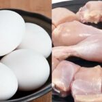 egg-chicken-2025-07-2ec21ea989480ea20dace778a5f36b90-3x2-1