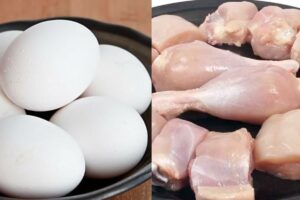 egg-chicken-2025-07-2ec21ea989480ea20dace778a5f36b90-3x2-1