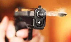gun