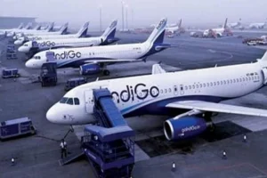 indigo