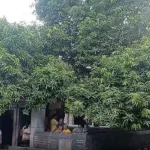 kanchi_entmangi1