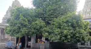 kanchi_entmangi1