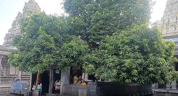 kanchi_entmangi1