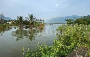 mettur