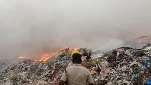 nellai8
