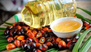 palm_oil
