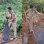 snake