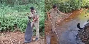 snake