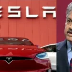 teslaanandmahindra1-1752585803