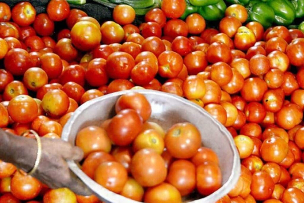 tomato-price-2025-07-bfac6d93ad57137a5cc859e2bd1c52e4-3x2-1