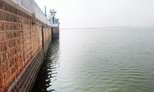 16623597-vaigaidam