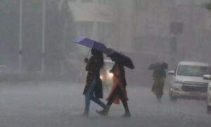 16661481-rain