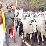 16663226-seeman