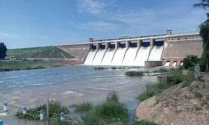16666963-vaigaidam