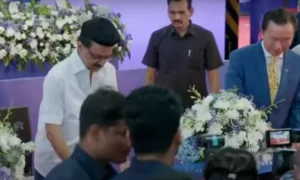 16668721-mkstalin1