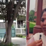 16683854-sudhamp001