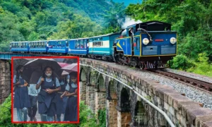 16707104-nilgiri-tour