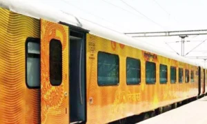 16709441-tejastrain