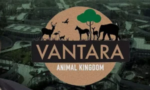 16833899-vantara