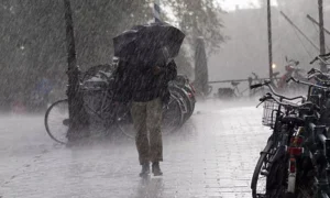 16848989-rain