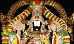 16854586-perumal4
