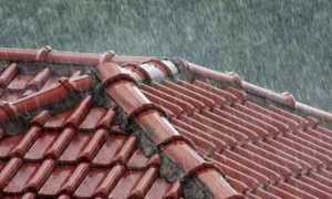 16945146-rain1