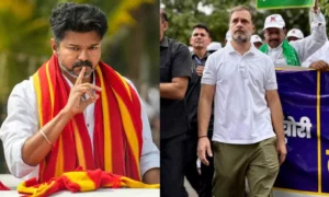 17006696-vijay