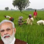 PM-Kisan-Samman-Nidhi-Yojana-2025-08-a6e12e1d752b66af2828cfcfa24382dd-3x2-1