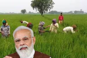 PM-Kisan-Samman-Nidhi-Yojana-2025-08-a6e12e1d752b66af2828cfcfa24382dd-3x2-1