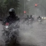 18486515-rain