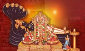 18719556-ekadashi