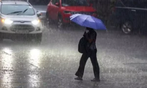 18743523-rainche