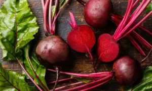 18745362-beetroot