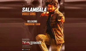 18772412-salambala0001