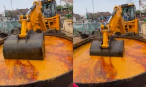 18794265-jcb