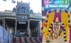18810384-thiruvenkatanathapuramtemple